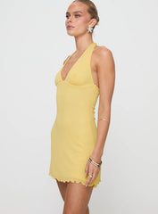 Leam Mini Dress Butter Petite